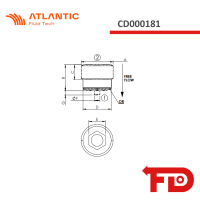 CD000181 - RÜCKSCHLAGVENTIL - CDVN-050-PAGS-310-N001 - ATLANTIC FLUID TECH
